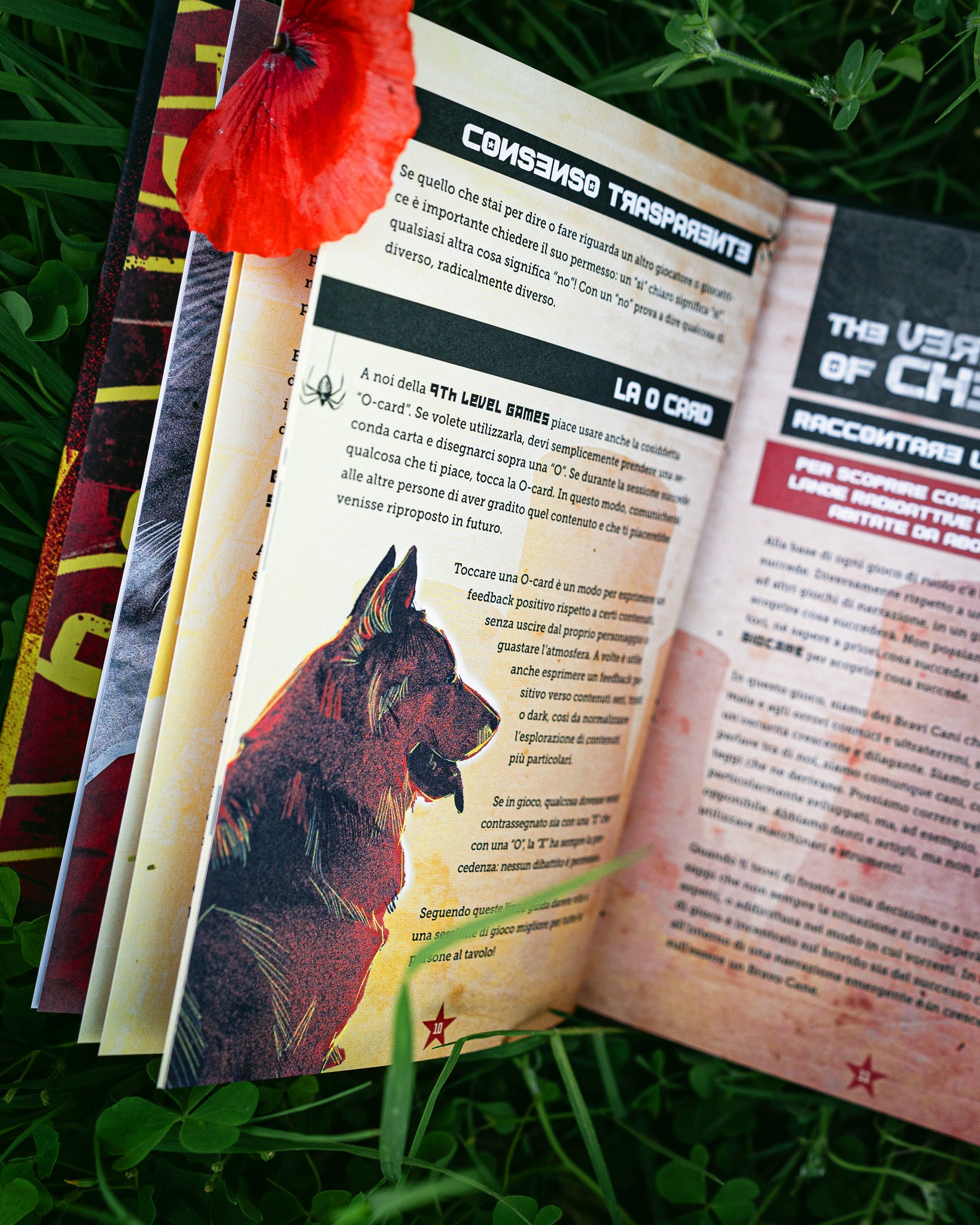 The Very Good Dogs of Chernobyl, immagine 5