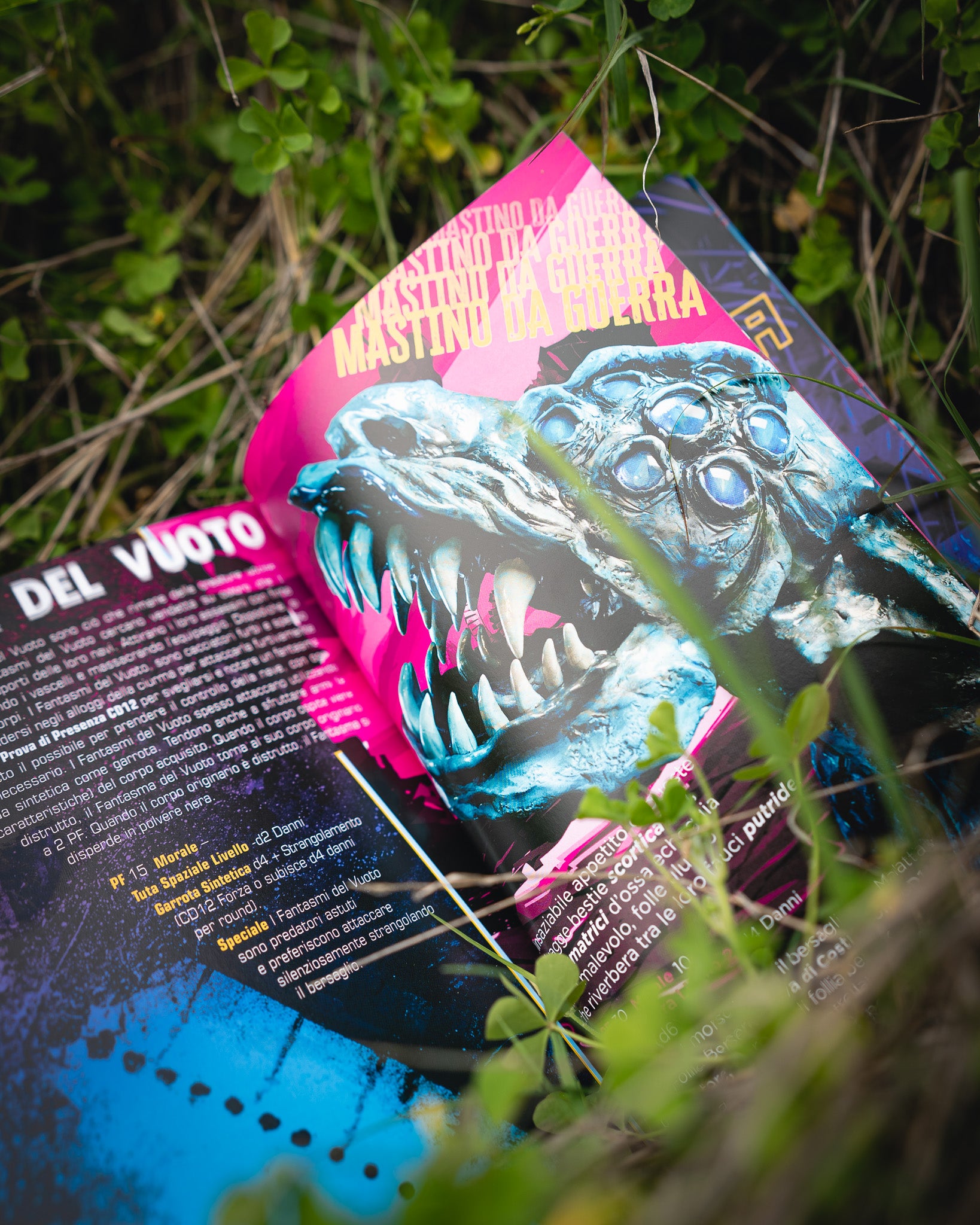 Vast Grimm – Manuale Base, dettaglio dell'edizione italiana