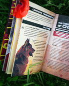 The Very Good Dogs of Chernobyl, immagine 5