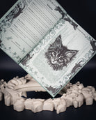 Be Like a Cat, immagine 4